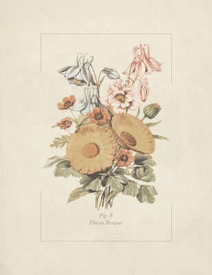 Image Not Available